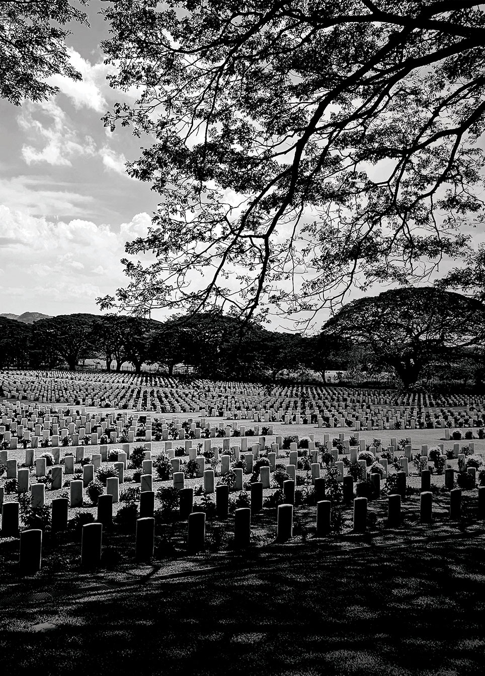 Black and white image of military cemetery with rows of white gravestones.  