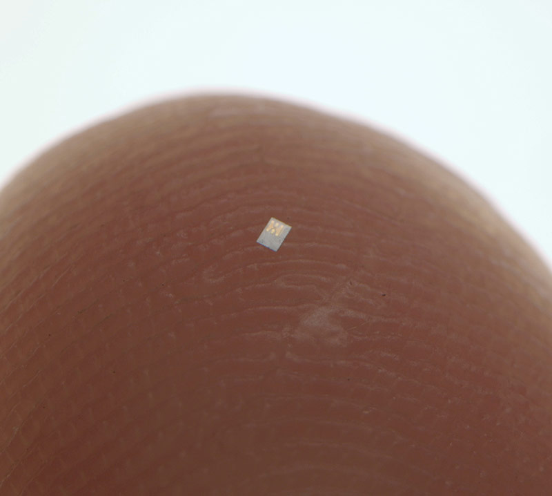 microchip on fingertip