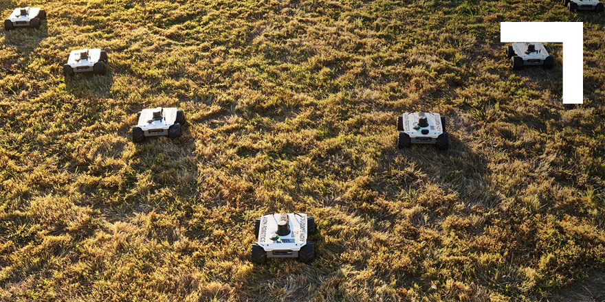 several small autonomous robots on land