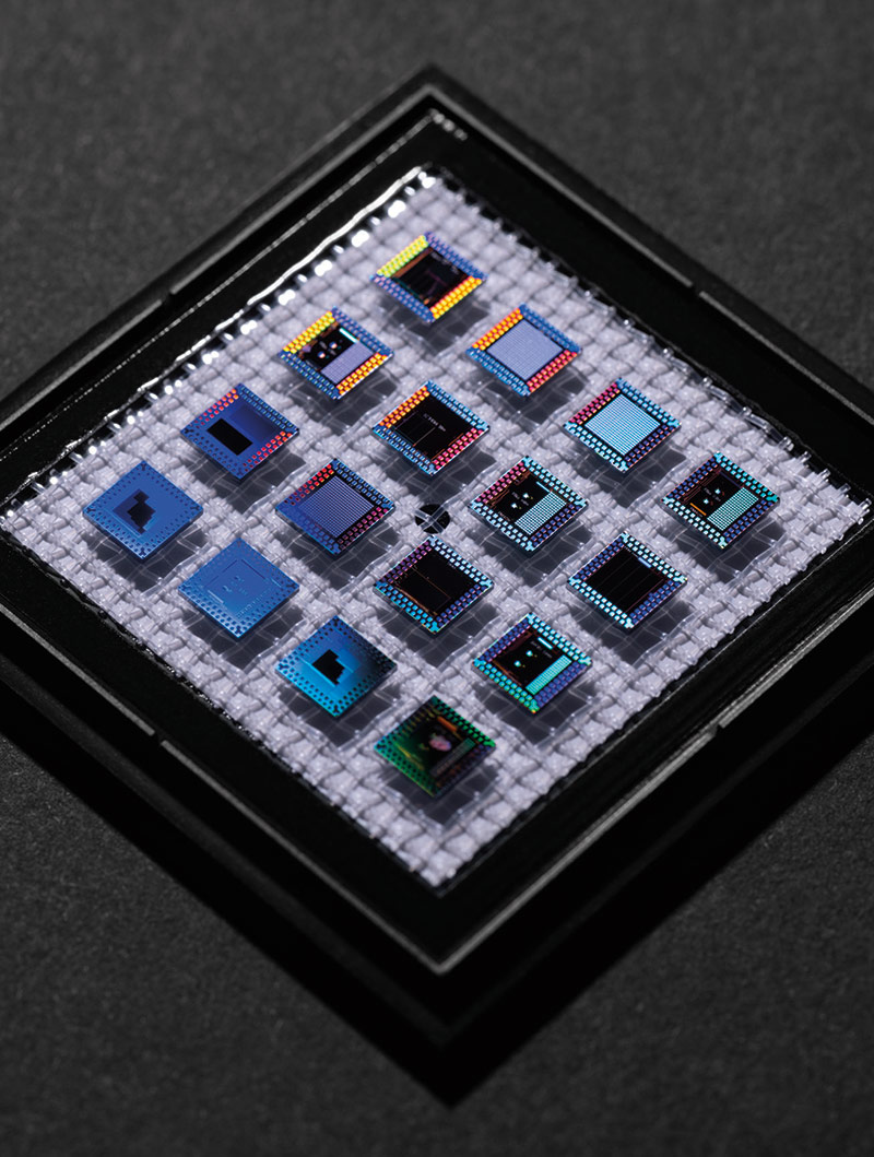display of multiple microchips