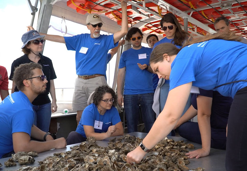 Employees in blue shirts examine oysters inside boat