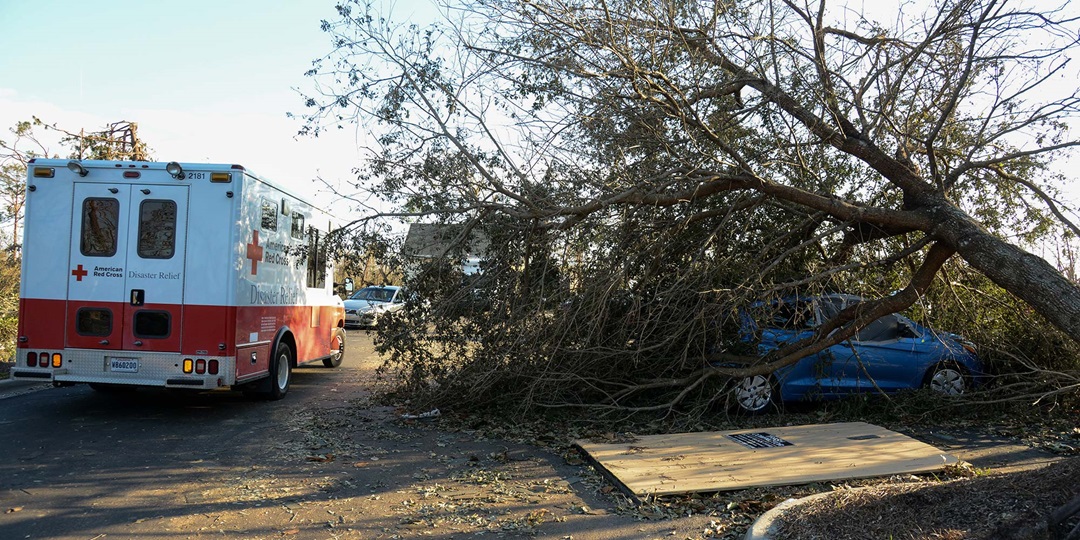Red Cross ambulance next to fallen tree