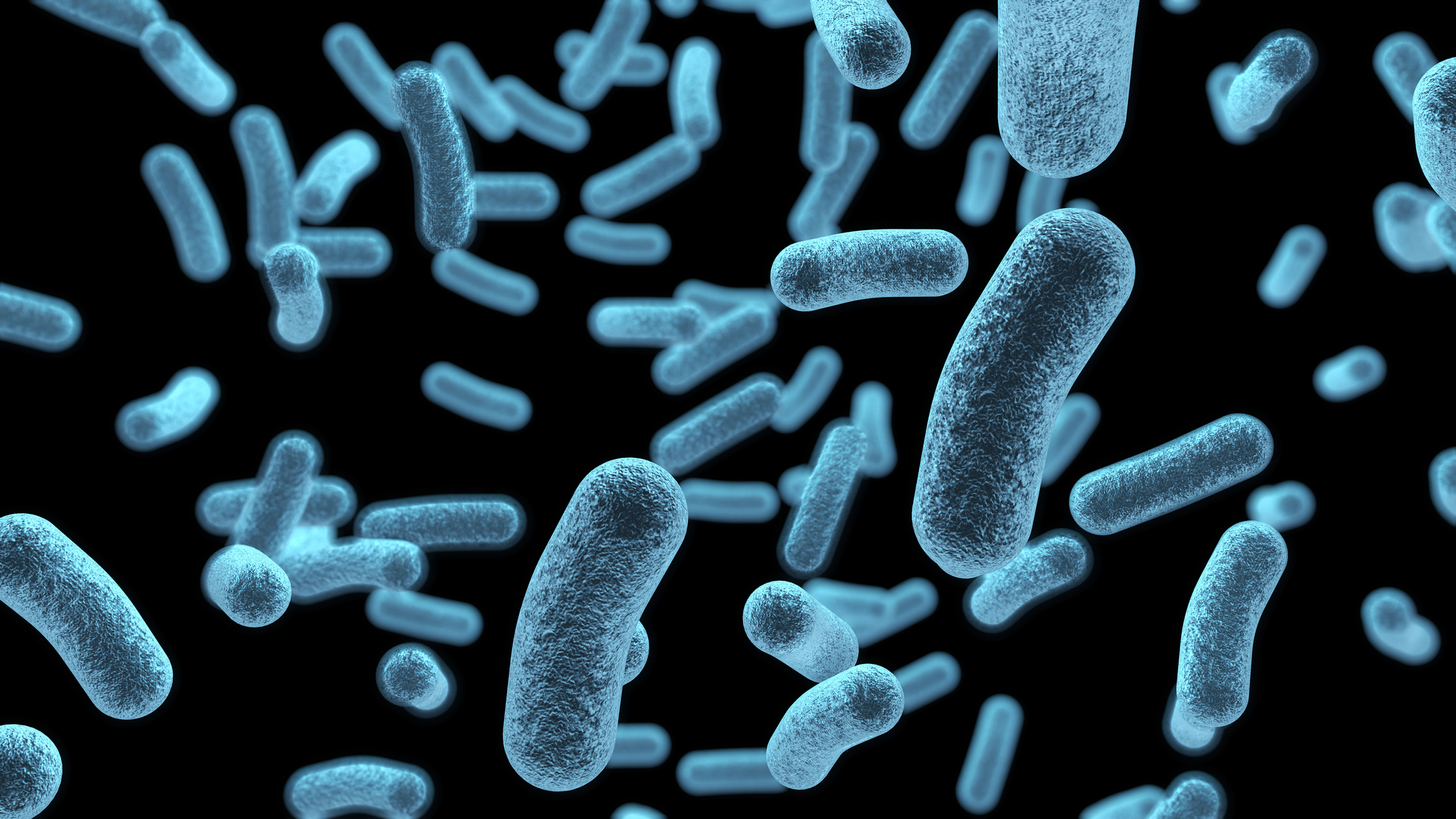 Microscopic blue bacteria background